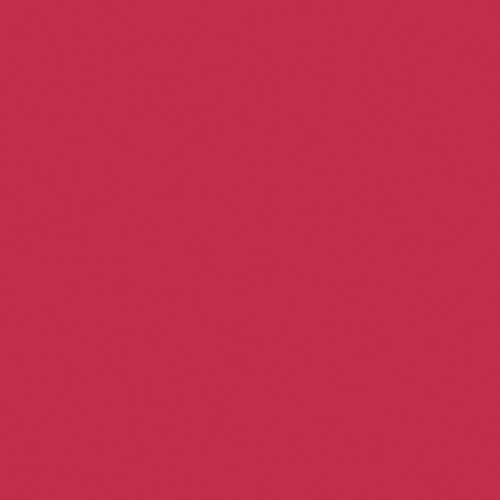 Lasting Embrace Lip Colour - Image 20