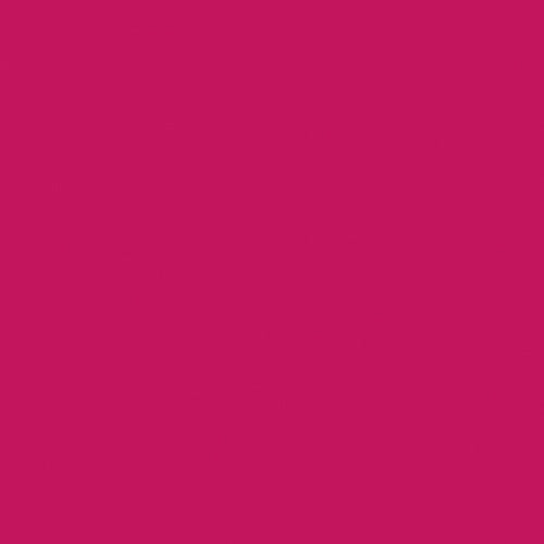 Lasting Embrace Lip Colour - Image 25