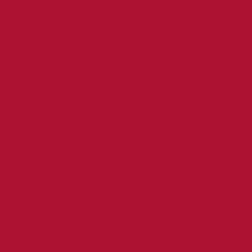Lasting Embrace Lip Colour - Image 40