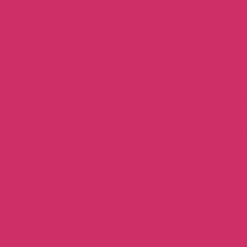 Plumping Kiss Lipgloss - Image 40