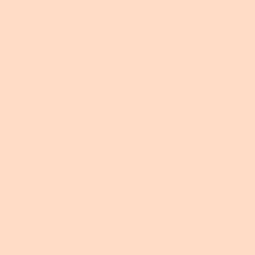 Skin Caress Pressed Powder - Image 3